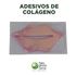 Adesivo de Colágeno Labial 1un